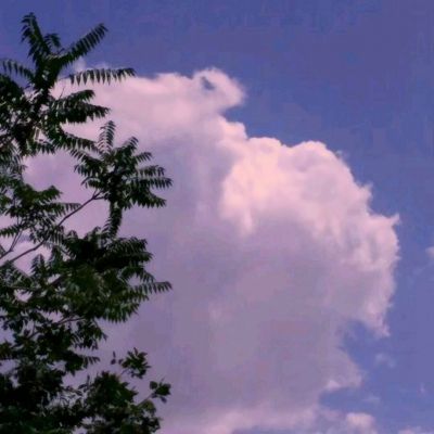 火线精英8868客户端下载